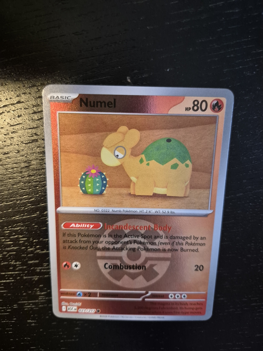 Pokemon Cute Numel Card
